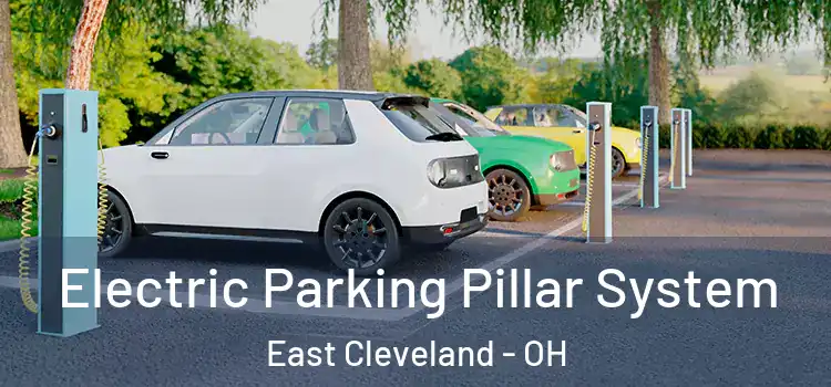  Electric Parking Pillar System East Cleveland - OH