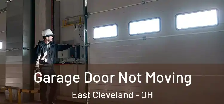  Garage Door Not Moving East Cleveland - OH