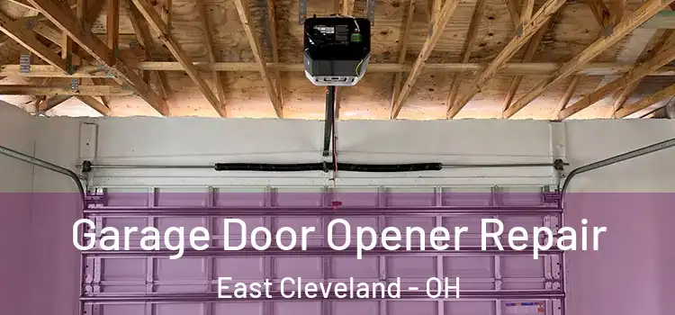  Garage Door Opener Repair East Cleveland - OH