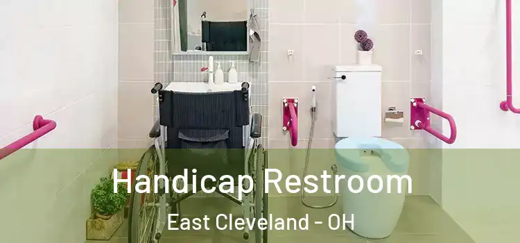  Handicap Restroom East Cleveland - OH