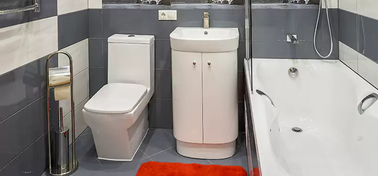 Hansgrohe Shaving Mirror East Cleveland