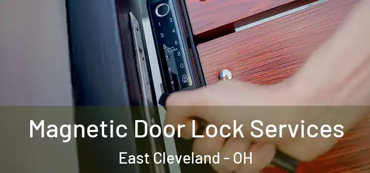 Magnetic Door Lock Services East Cleveland - OH