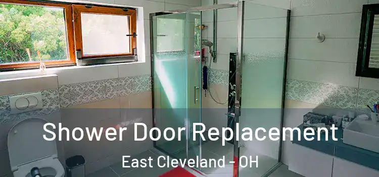  Shower Door Replacement East Cleveland - OH